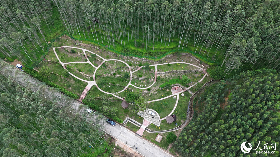 湖珠村生命公园选址于低效果林地,依山就势进行改造,突出“节地、生态、公益”。人民网 李昌乾摄